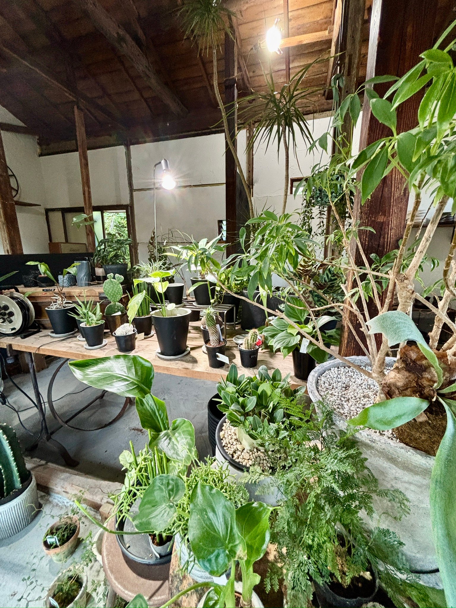 C47D33AB-AF3D-4052-966A-9A4B39FF0A27_1_102_a