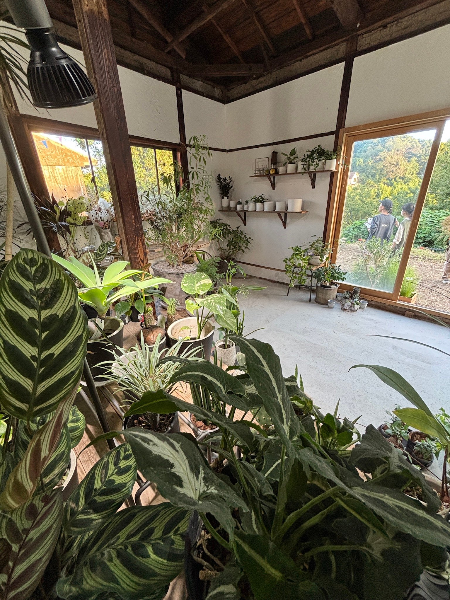 D3175B04-D991-48A0-984C-74BC5C95BC0D_1_102_o