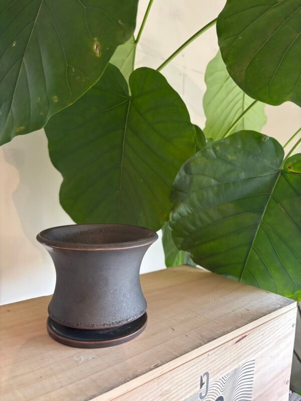 Alloy POT & SAUCER -アロイポット アンドソーサー- M size