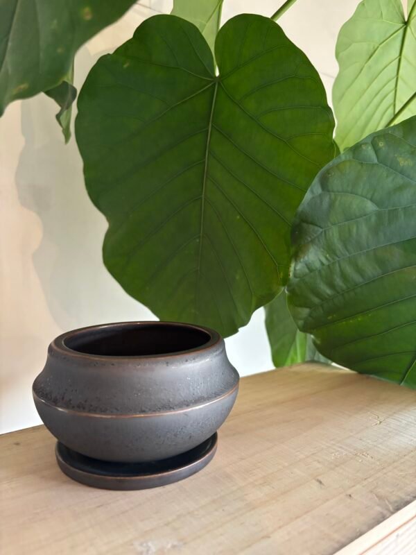 Alloy POT & SAUCER -アロイポット アンドソーサー- M Low size