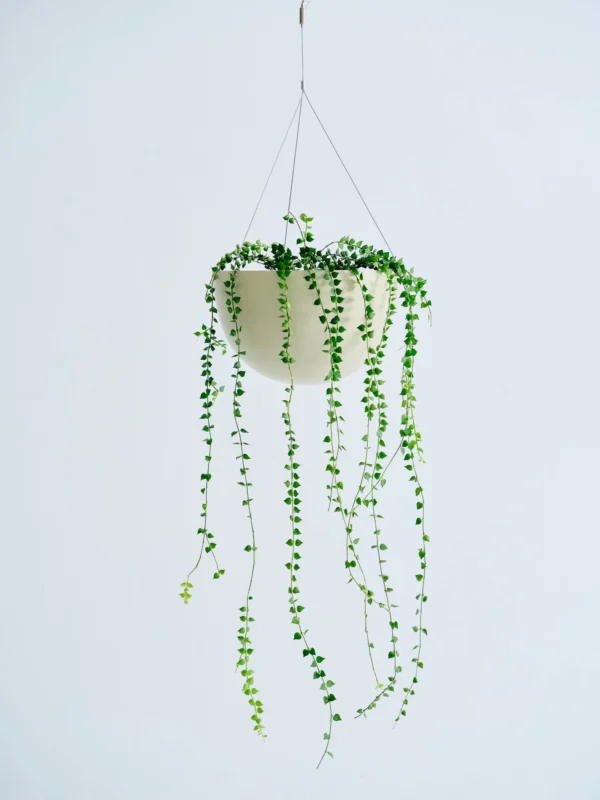 エンジェルバイン