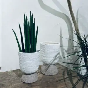 エンジェルバイン