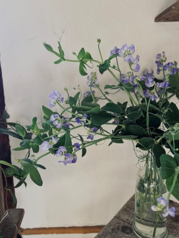 切り花(サブスクリプション)