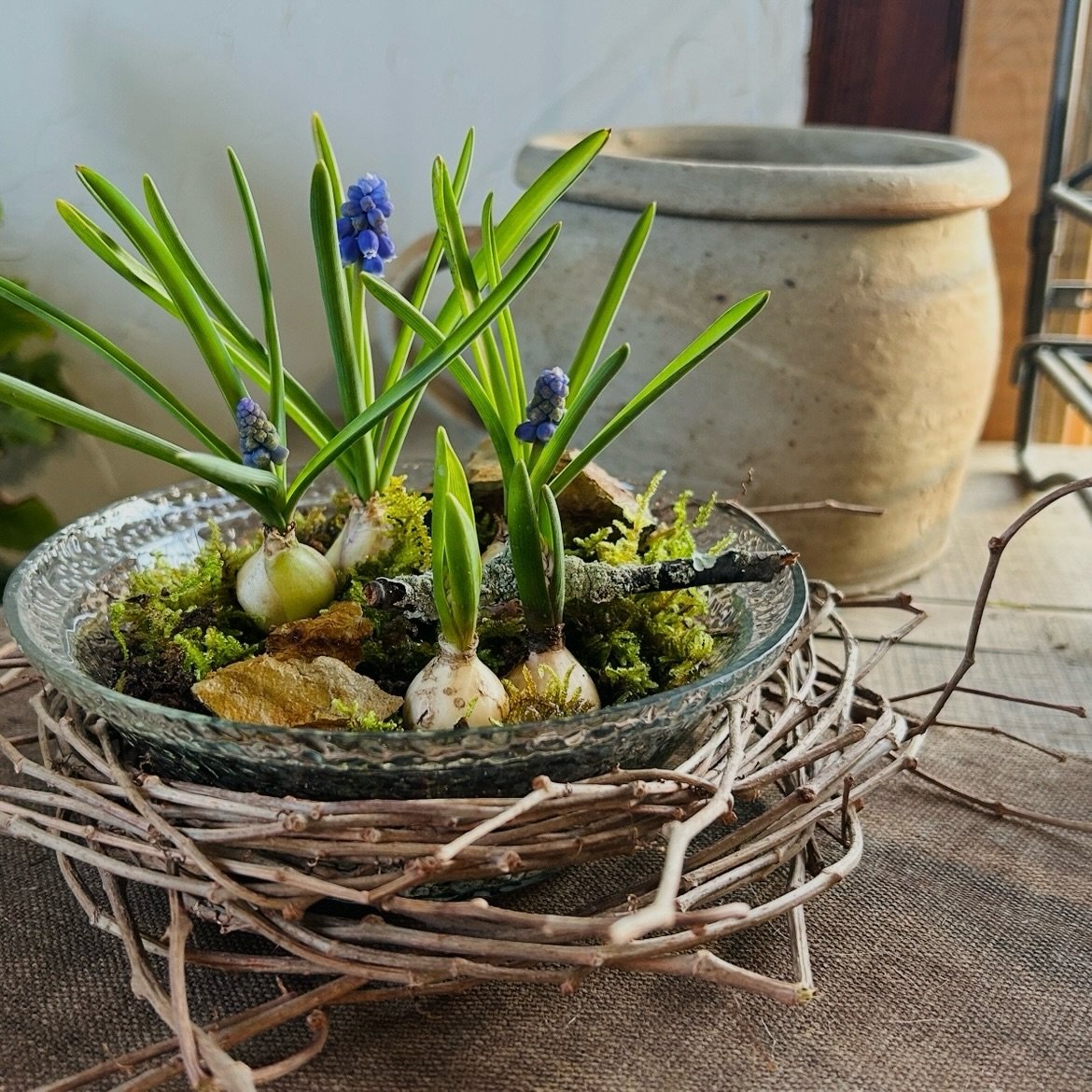 3817776933485384004_3817776925381989343