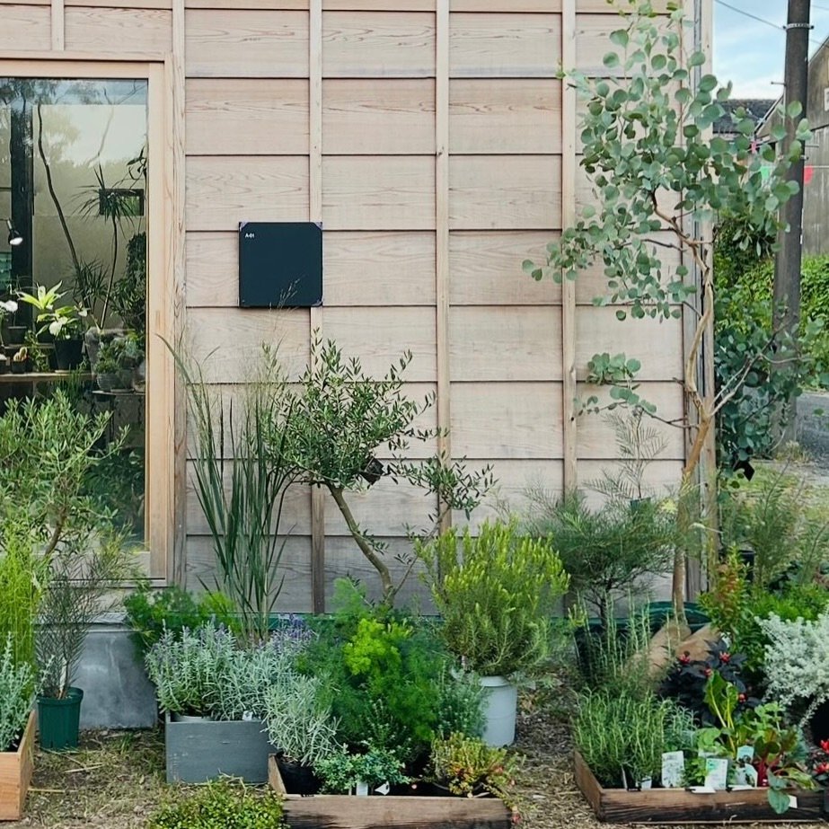 504BDAAA-49E2-4454-B30A-496F6C7C0208_1_201_a