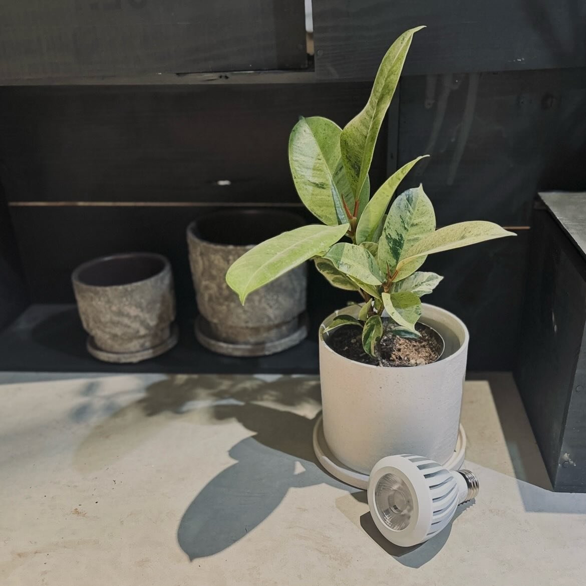 708E9057-35EE-4B47-8C30-9D9E9BDC564B