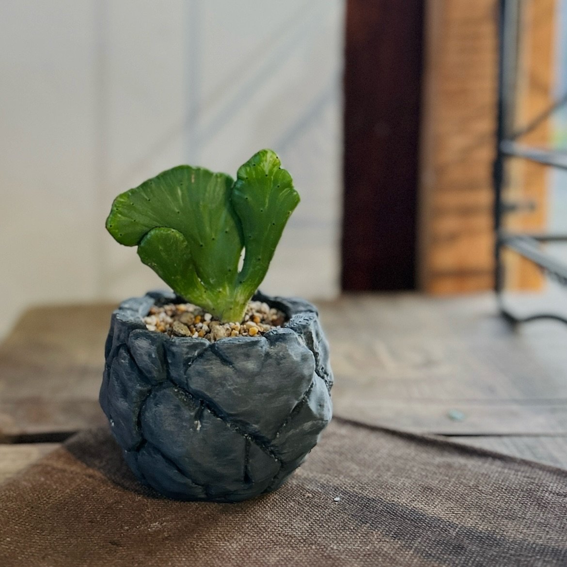 F65D853F-7D67-4EF0-A9E4-6136148A0717