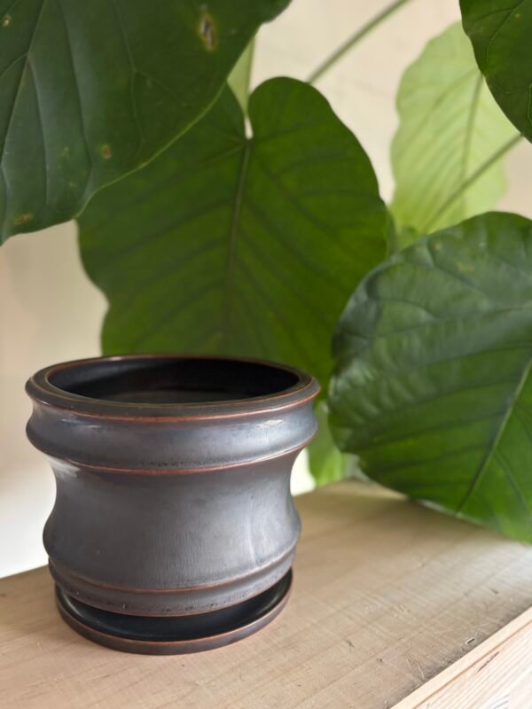 Alloy POT & SAUCER -アロイポット アンドソーサー-  L size